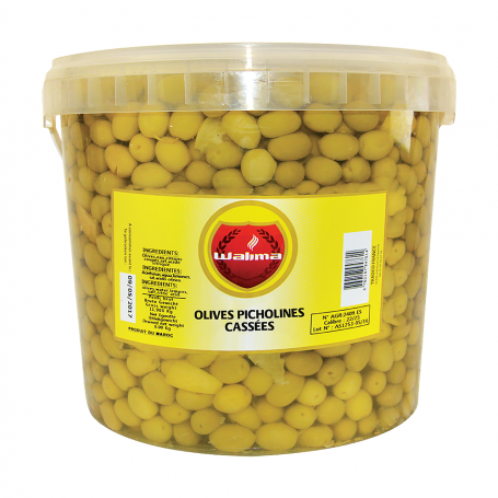 Green Olive Picholine